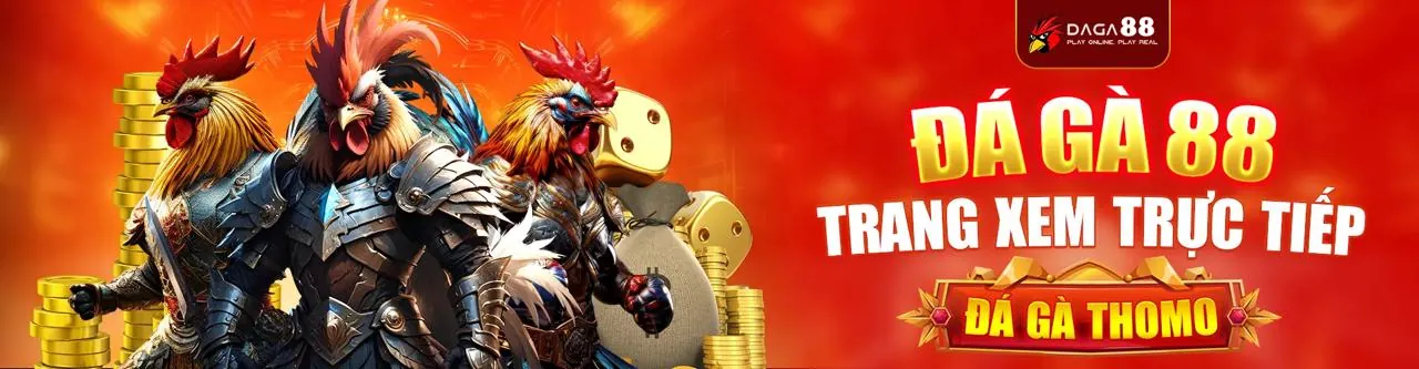 Đấu trường đá gà trực tuyến sôi động tại www888 nhà cái